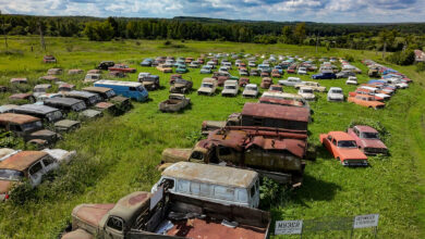Photo of Хоспис для автомобилей: что интересного в музее в Черноусово